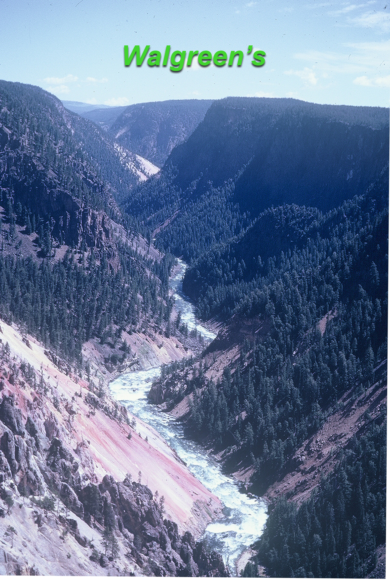 Original Image