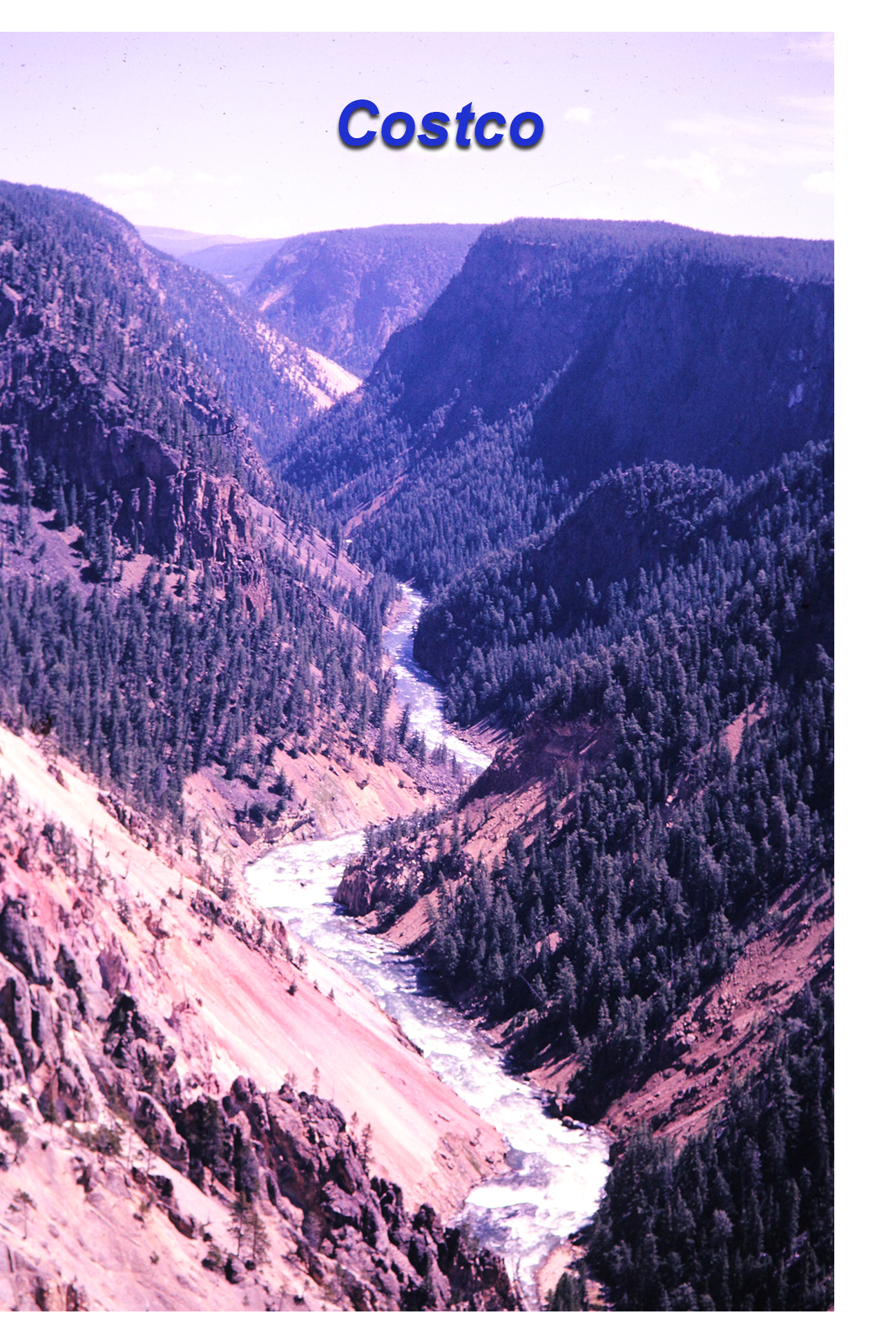 Original Image