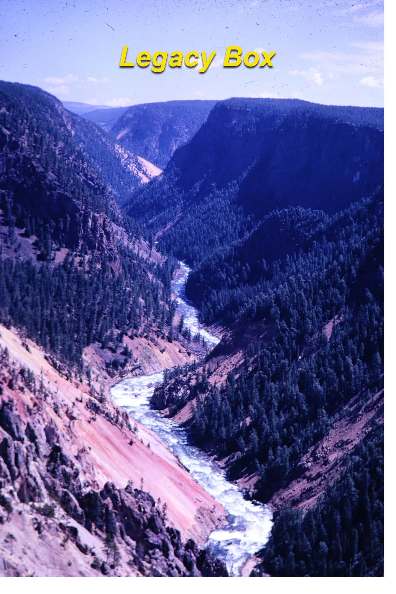 Original Image