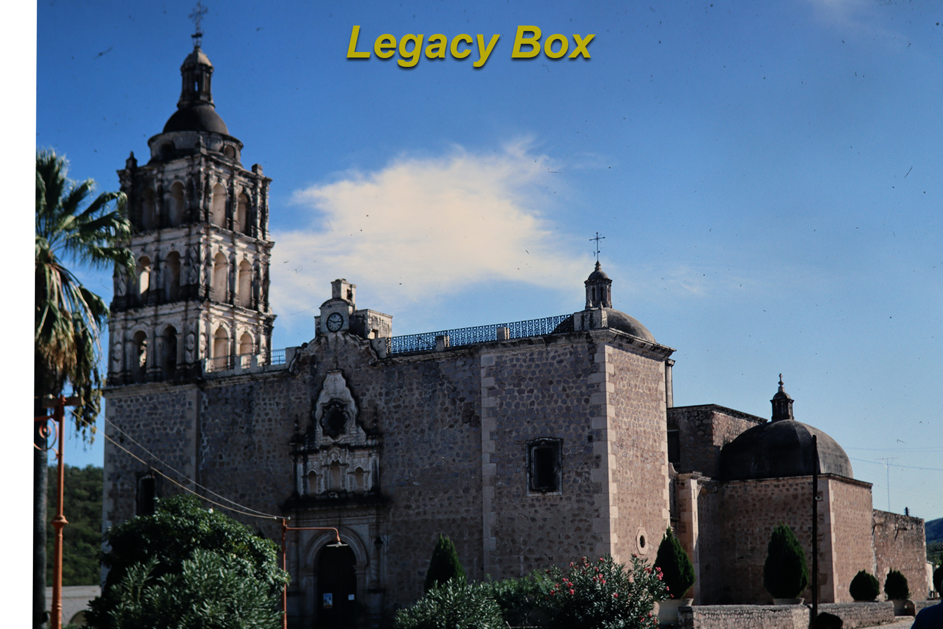 Original Image