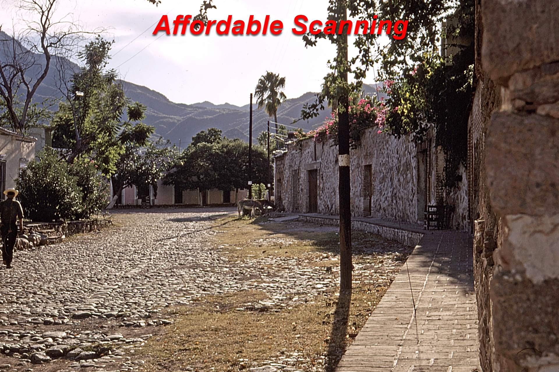 Modified Image