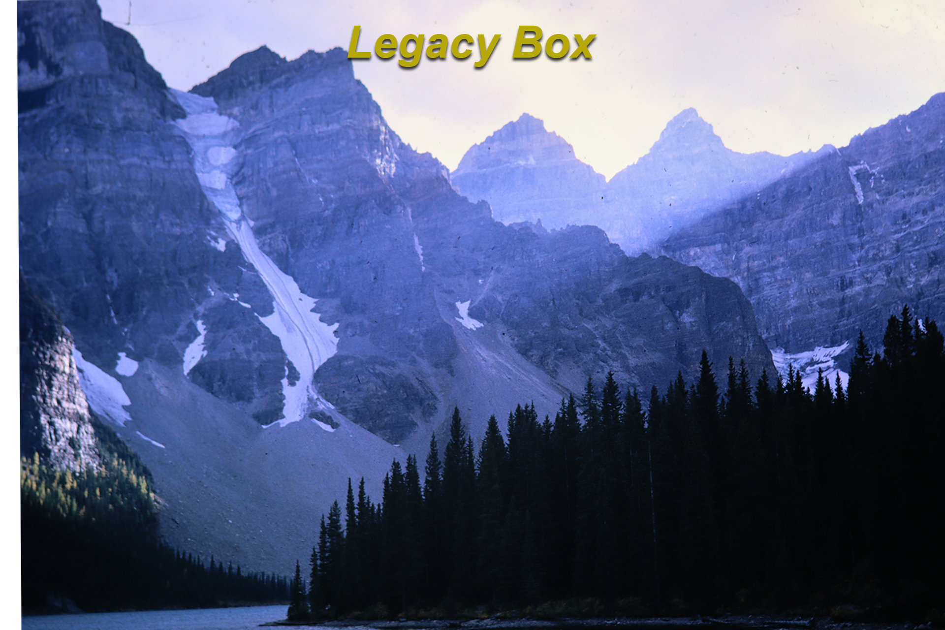 Original Image