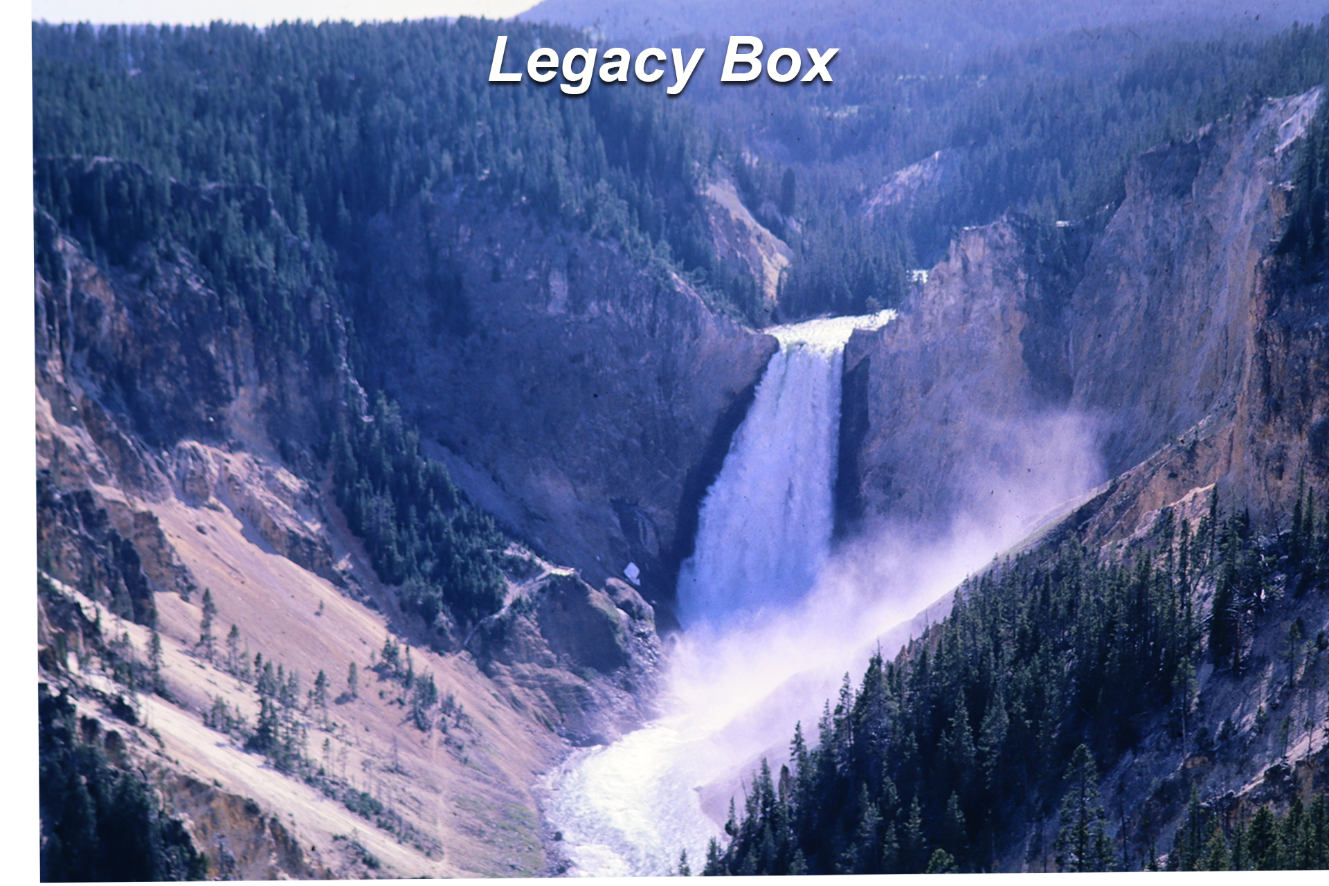 Original Image